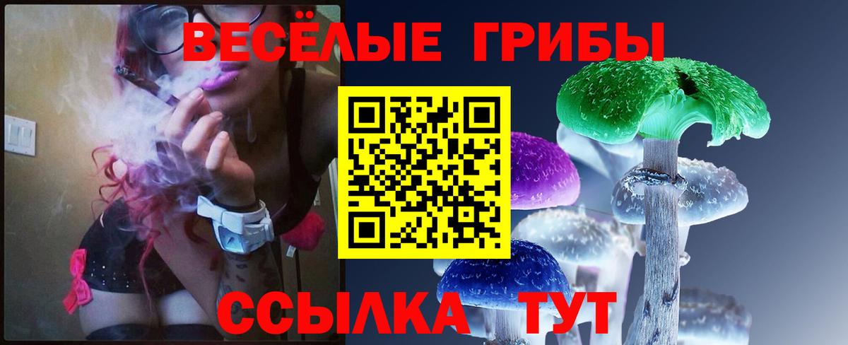 Краснокаменск  Псилоцибиновые грибы Psilocybe  Вход с VPN 